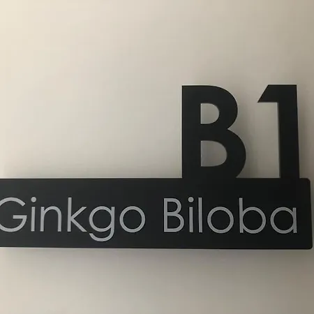 Captain Yoo - Ginkgo Biloba - Cocon Moderne Sur Le Port * 페캉