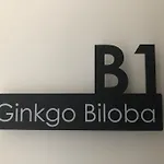 Captain Yoo - Ginkgo Biloba - Cocon Moderne Sur Le Port * Fécamp