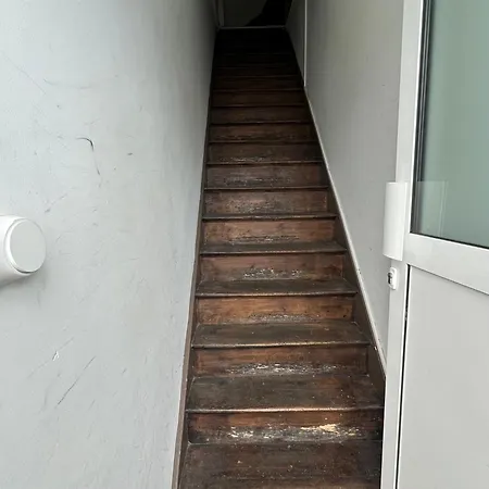 Captain Yoo - Ginkgo Biloba - Cocon Moderne Sur Le Port Fécamp